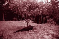 Sting in the Tale: Art, Hoax, and Provocation