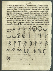 Sting in the Tale: Art, Hoax, and Provocation