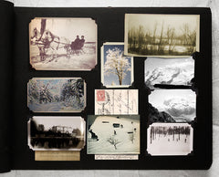 Sting in the Tale: Art, Hoax, and Provocation